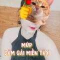 Thuê Gái gọi ❤NGỌC DÂM❤️  MÚP MÚP-DÂM DÂM DÂM Massage AZ